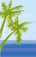 palms graphic