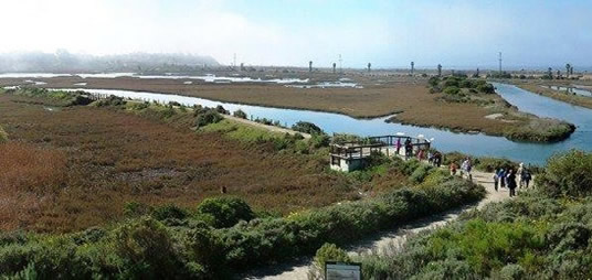 San-Elijo-lagoon-trail-San Diego California