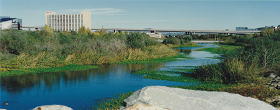 San Diego-River- SaludHEALTHinfo- Cantidades grandes de gua atraen mosquitos