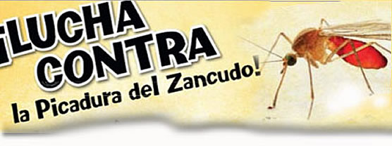 La Lucha Contra la Picadura de Zancudos- Fight The Bite