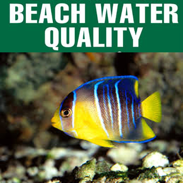 San Diego Beach Water Quality