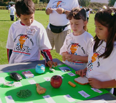 Kids learning Healthy Food portions