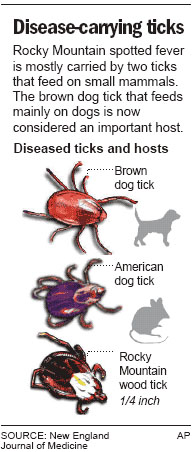 ticks