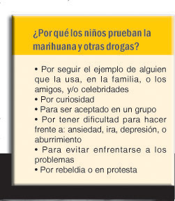 porque los ninos prueban la marihuana y otras drogas