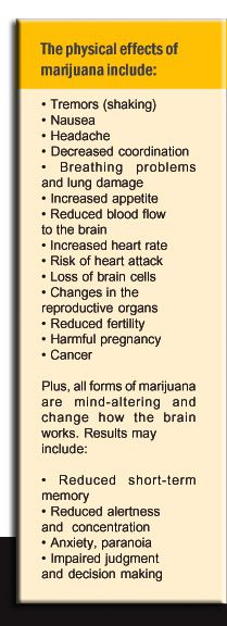 the physical effects of marijuana 