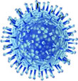 flu virus