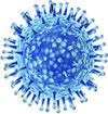 Flu virus