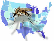 West Nile Virus Outbreak - Epidemia de Virus del Oeste del Nilo