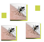 west nile virus numbers continue to rise